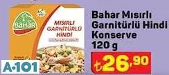 BAHAR HİNDİ KONSERVE